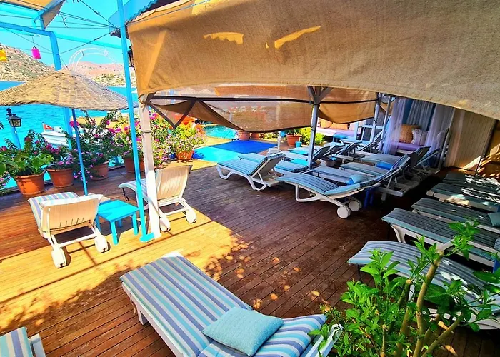 Hotel Aphrodite *