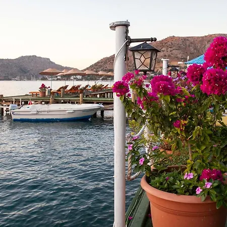 Hotel Aphrodite